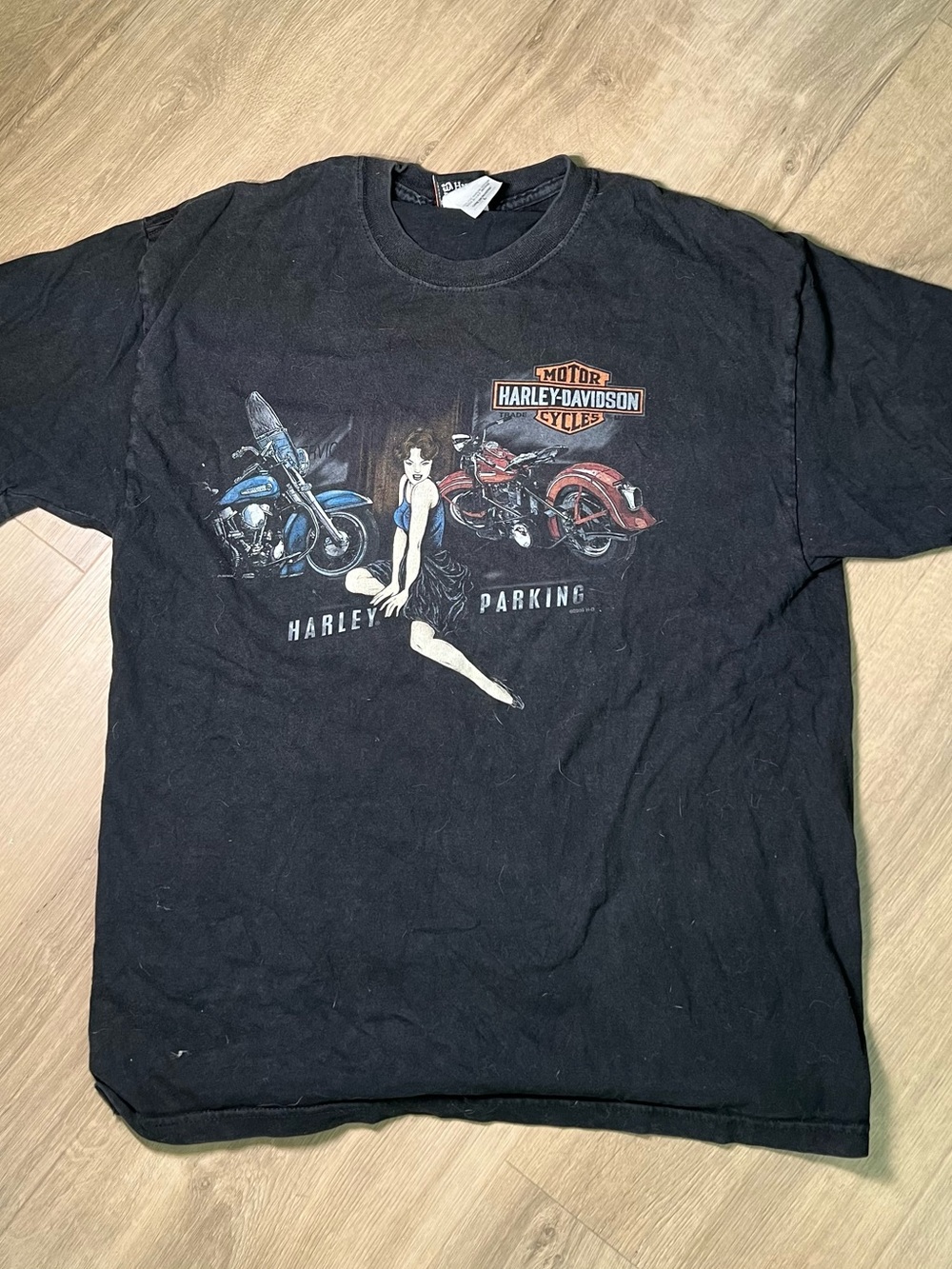 Hanes Black Short Sleeve Tee with Harley-Davidson Motorcycle Graphic